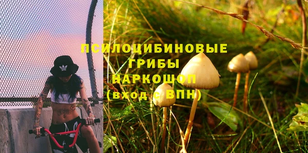 ГАЛЛЮЦИНОГЕННЫЕ ГРИБЫ Абдулино