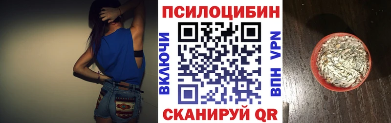 Псилоцибиновые грибы прущие грибы  дарнет шоп  Каменногорск 